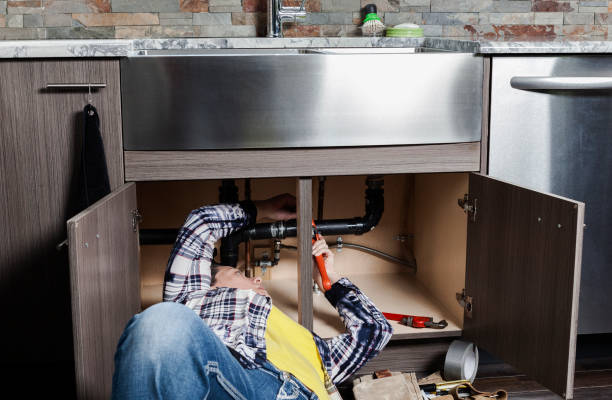 Best Local Plumber Services  in Brownsville, TN